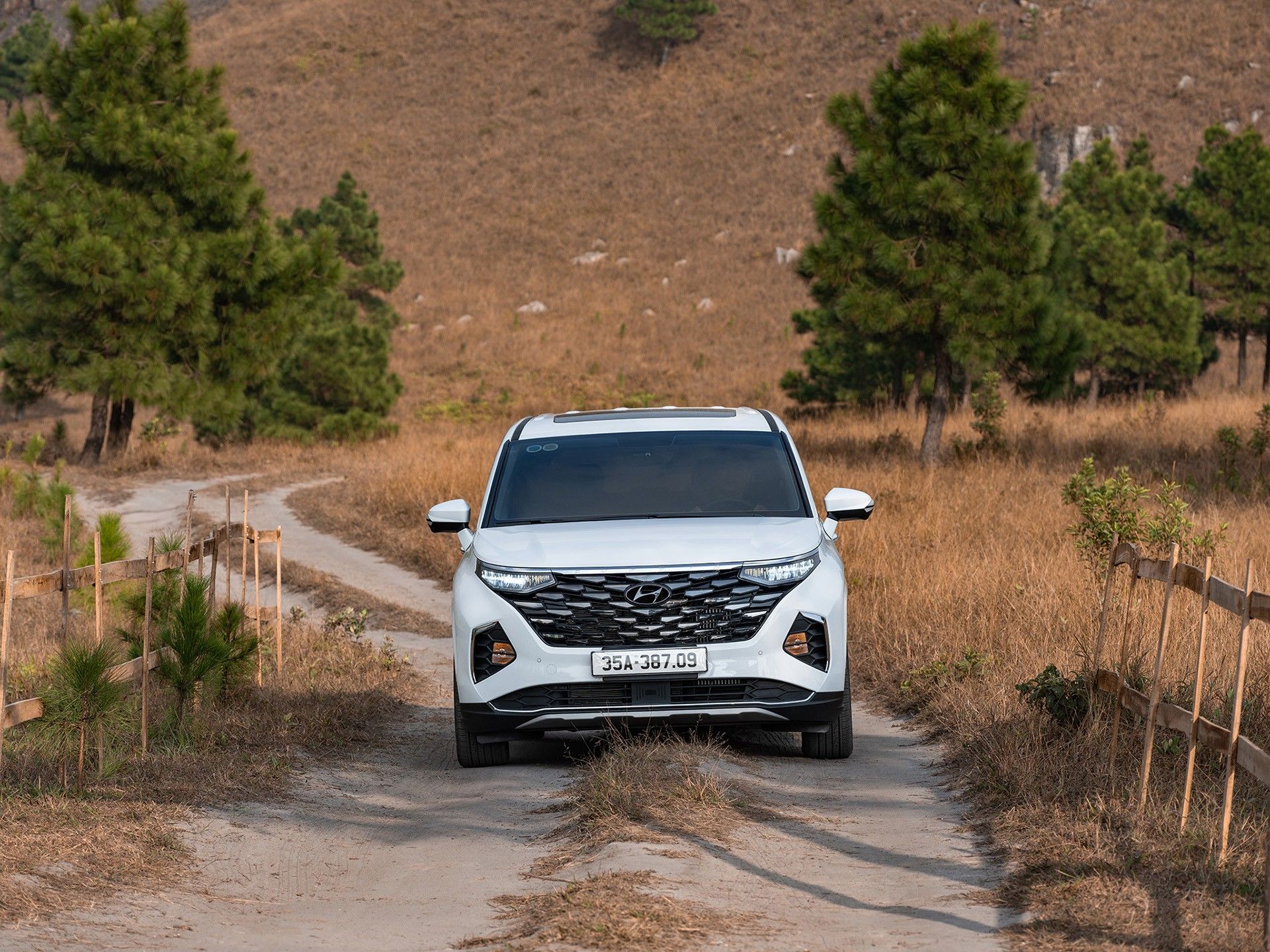 TC GROUP THÔNG BÁO KẾT QUẢ BÁN HÀNG HYUNDAI THÁNG 7/2024